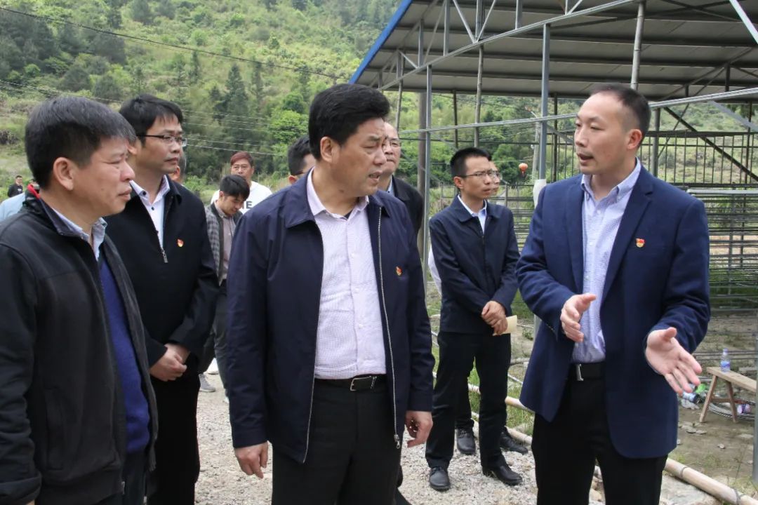 在杉洋镇杉洋村,曾智勇听取当地重点文化项目建设情况介绍,要求传承好