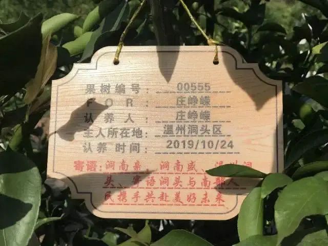 大乘庵村种养一株属于你的果树,并悬挂或放置带有认养人姓名的宣传牌