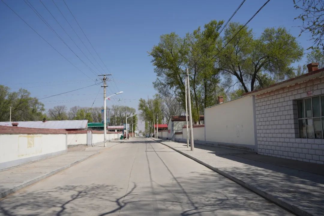 呼和浩特市和林格尔县舍必崖乡:人居环境整治持续发力 打造更加美丽