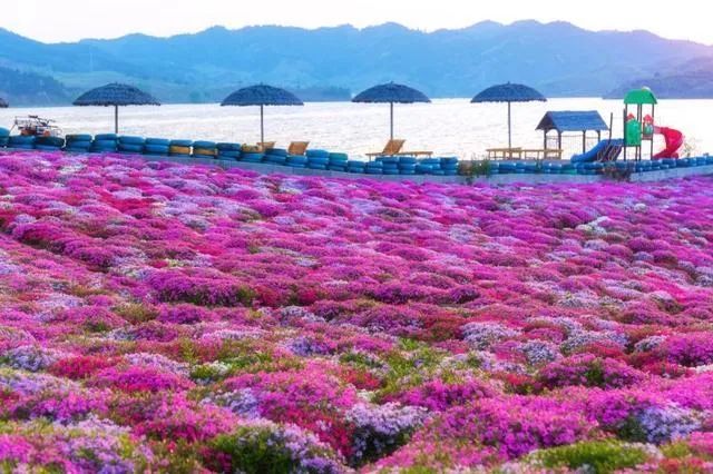 迁西花乡果巷旅游景区图片