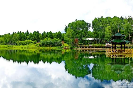 这个五一不远游在咱山野飘香的大白山尽享美食