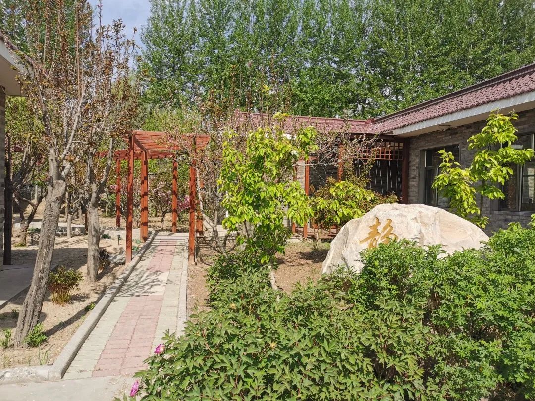 诗画庭院大美乡村这样的美丽庭院谁不想有