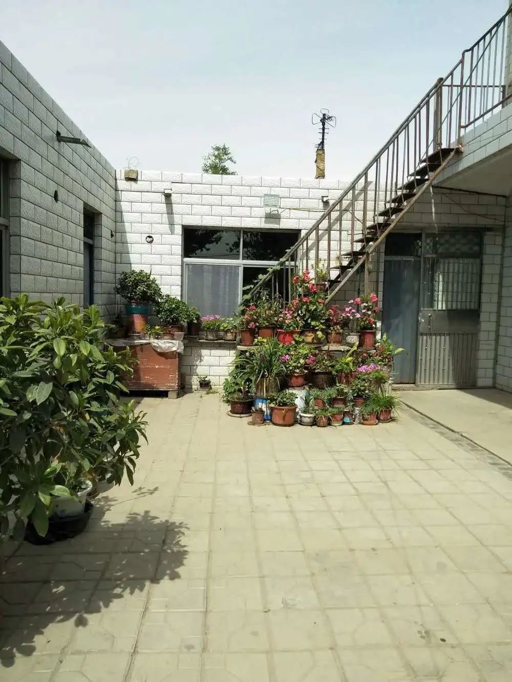 诗画庭院大美乡村这样的美丽庭院谁不想有