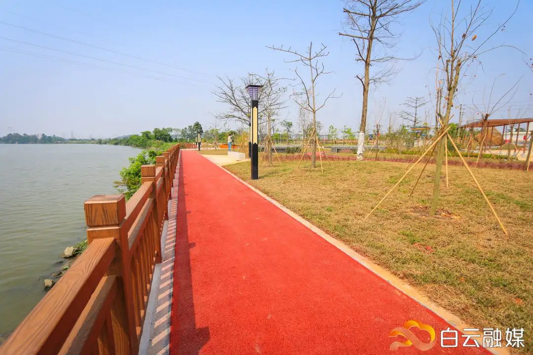 拆违修路建公园,江高镇巴江河沿岸焕然一新!