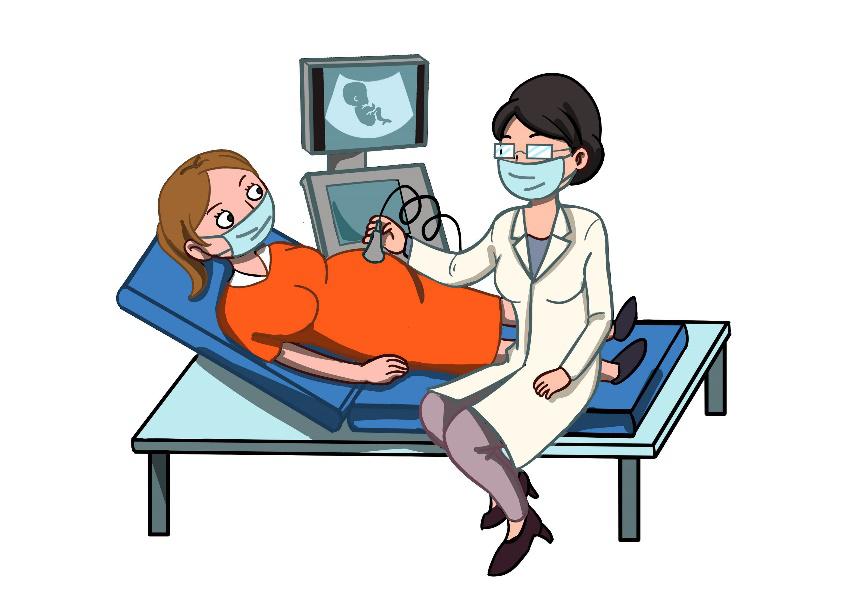 上海女医师科普之声孕早期和孕中期:如果孕妇的孕前检查都很正常,在