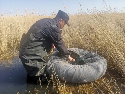 呼伦湖公安分局东,西岸联勤护卫湖区生态_澎湃号·政务_澎湃新闻-the