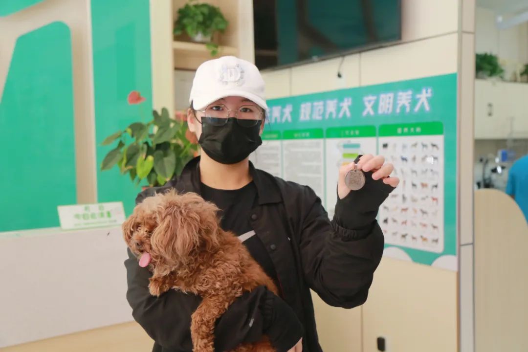 滨州首张犬牌颁出 滨州市城市养犬管理办法 今起实施