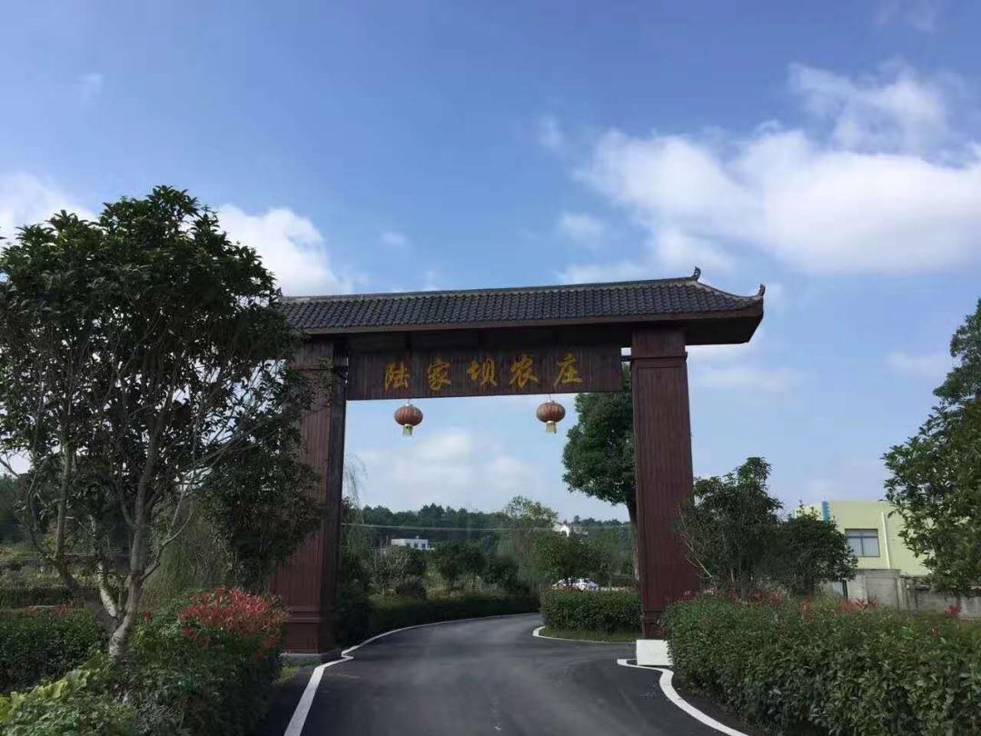 赏杜鹃摘青梅听山歌怡然北山镇邀你尽享田园风光