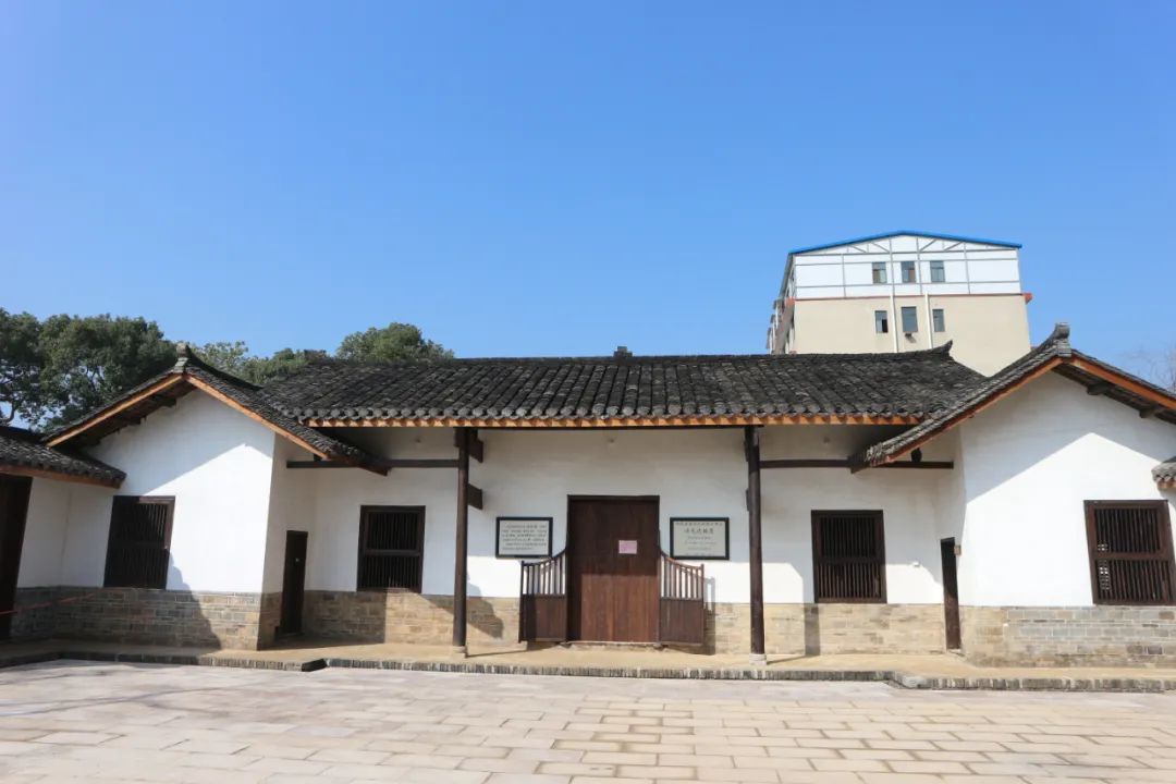 看风车赏花木吃有机蔬菜来黄兴感受生态休闲慢生活