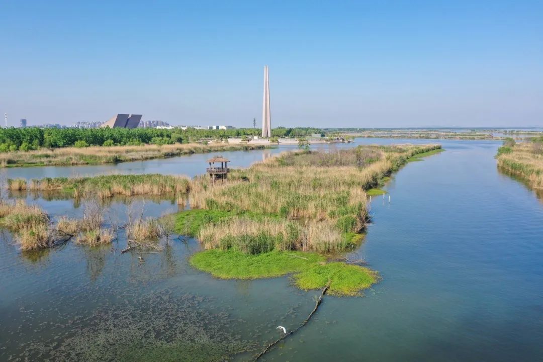 信息来源:安徽第一城区包河区原标题:《趁风光正好!