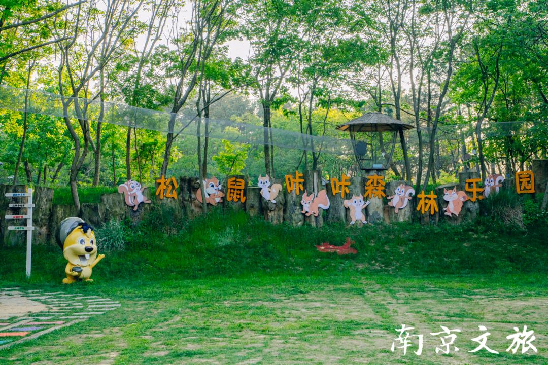 是南京首个户外大型森林萌宠乐园松鼠咔咔森林乐园松鼠咔咔森林乐园01