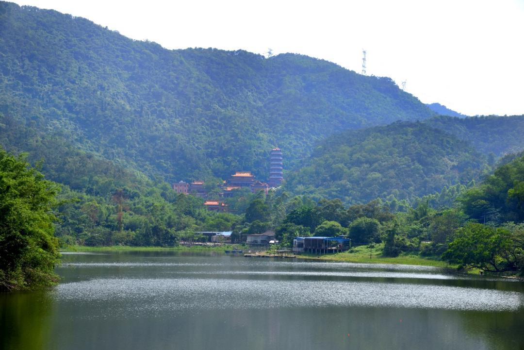 畅享蓬江五一最美春景远在天边近在棠下