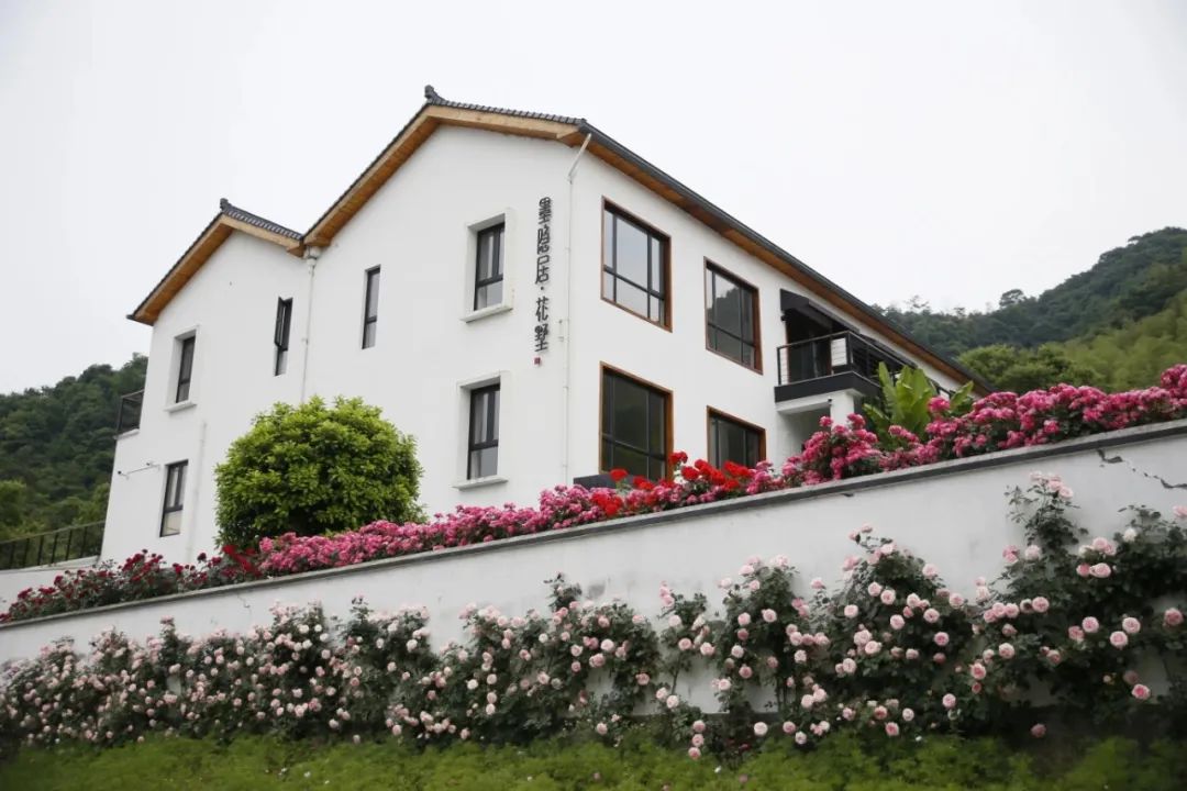 虞妹子甜美乡村梦之旅来啦五月花海等你来