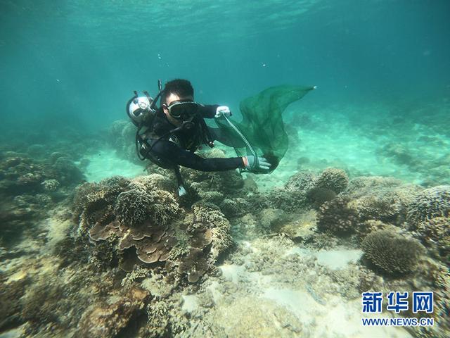 6月6日，蜈支洲岛潜水教练在景区海域海底清理海洋垃圾。