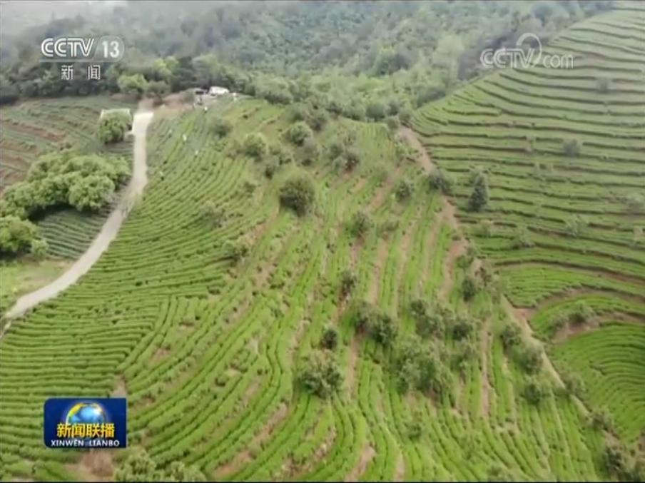 央视《新闻联播》头条关注贵州这些奋战在脱贫攻坚一线的人_澎湃号·媒体_澎湃新闻-The Paper