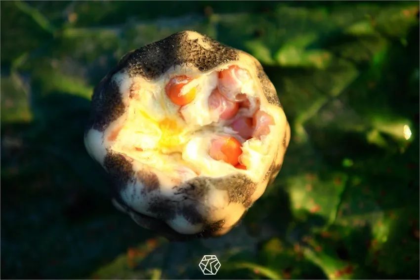 鸡头米是水生作物芡实的俗称,因芡实果实上花萼退化的部分形如鸡喙,故