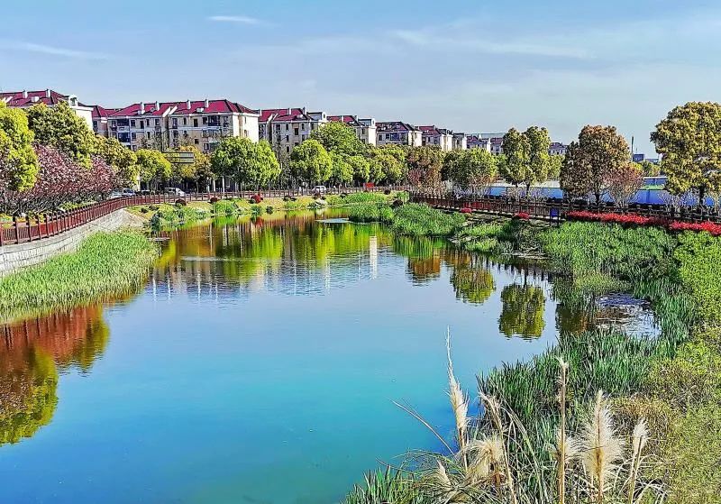 这组新老照片带你领略新泾镇的变迁历程