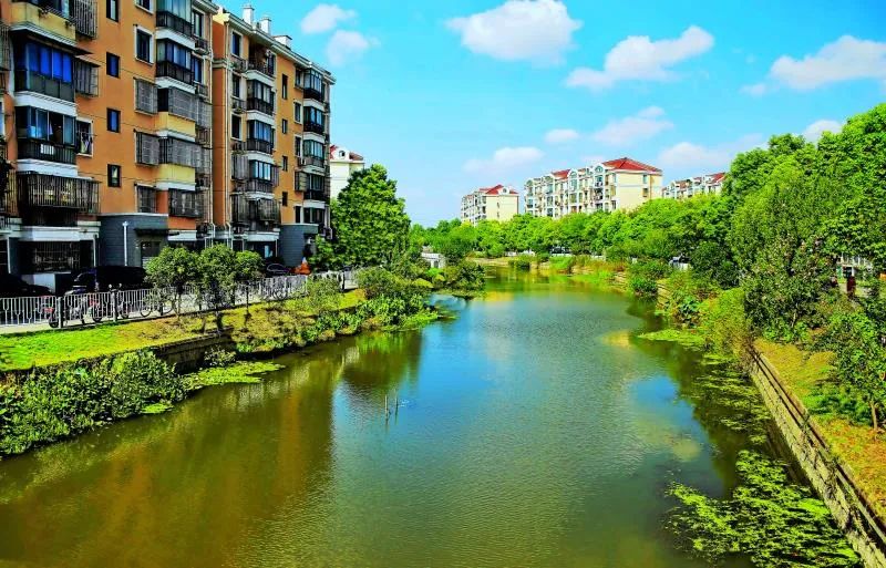 这组新老照片带你领略新泾镇的变迁历程