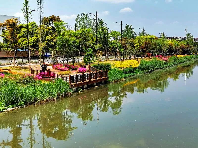 这组新老照片带你领略新泾镇的变迁历程