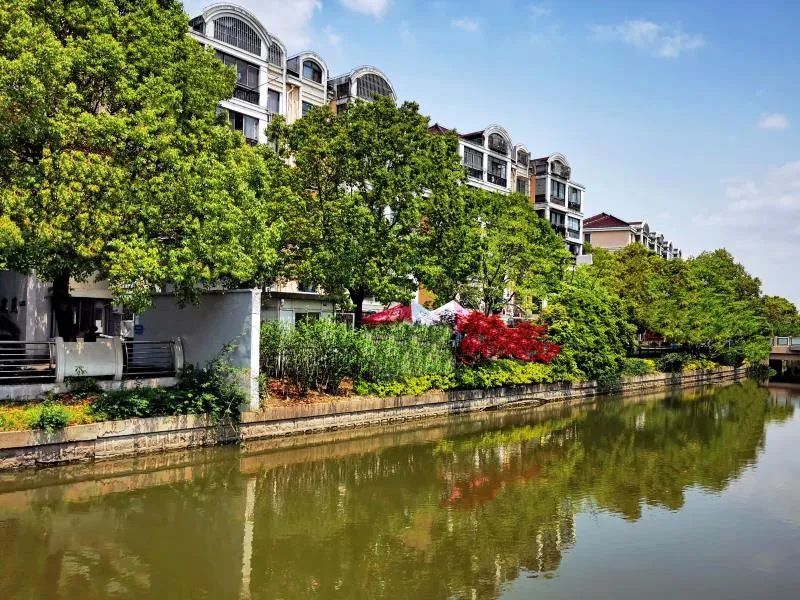 这组新老照片带你领略新泾镇的变迁历程