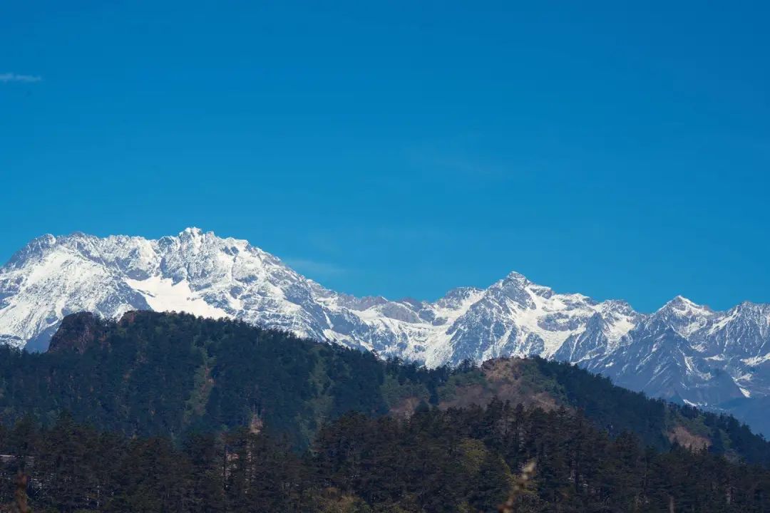 西岭雪山近景图片