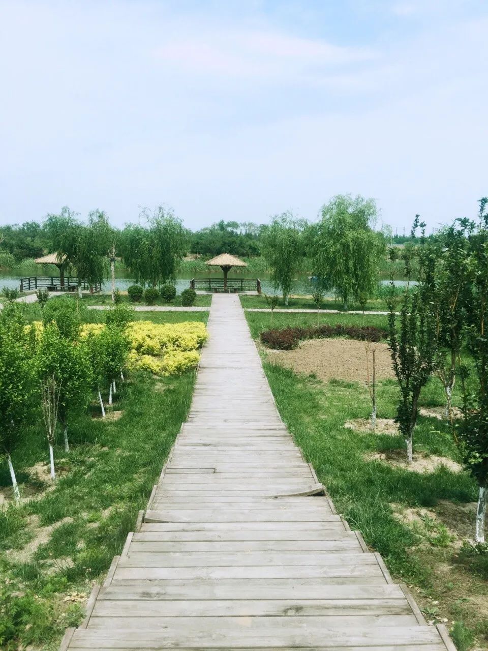 天津津南郊野公园图片图片