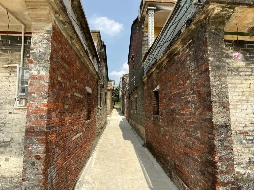 高明这条村成功"逆袭"!