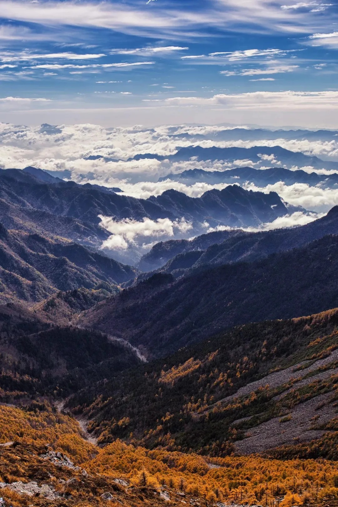 青春·青山 |西安青年画家笔下的大秦岭_政务_澎湃新闻-the paper