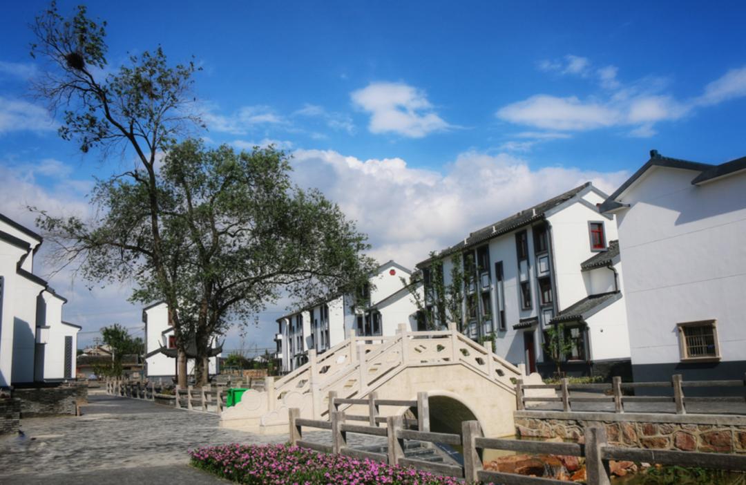 这三个村庄阳山镇阳山村朱村阳山镇桃源村前寺舍阳山镇桃园村冯巷分别