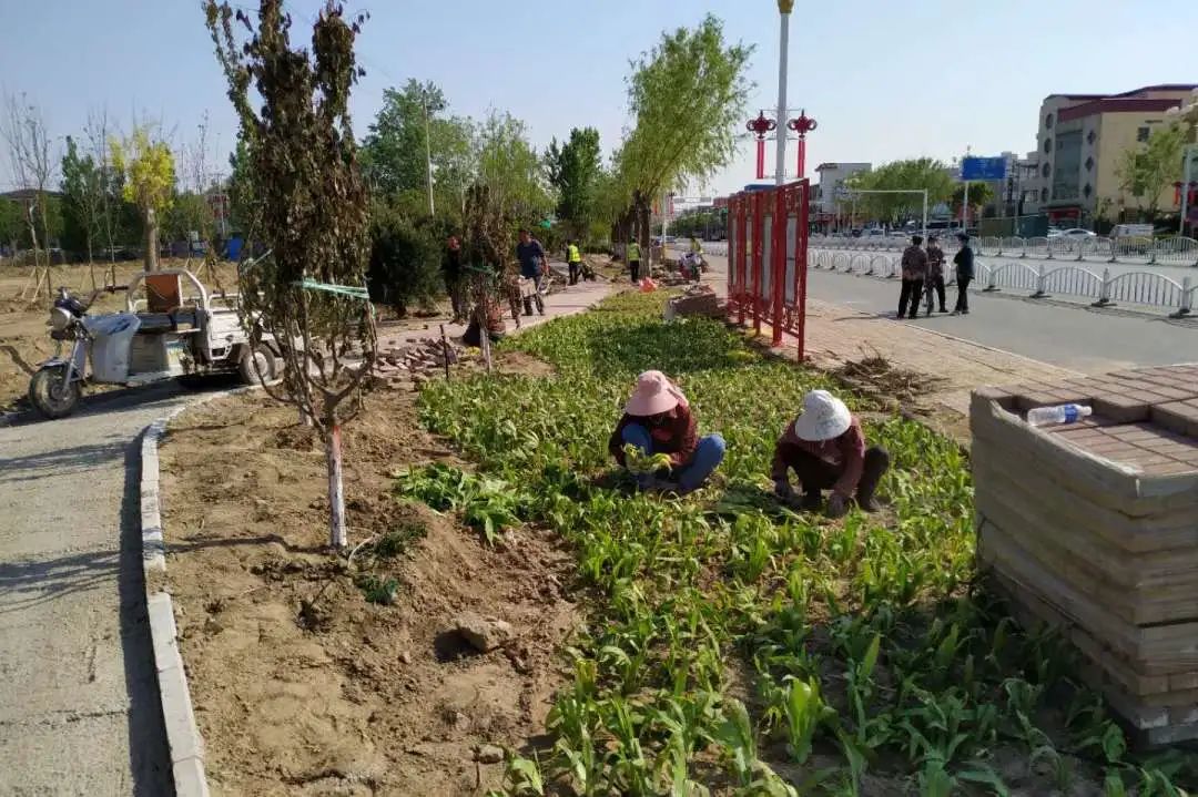 看雄县人的生活环境越来越美了