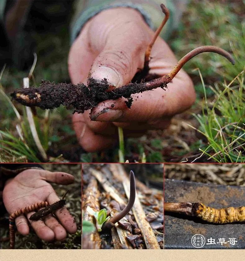 敬畏大自然馈赠给我们的礼物