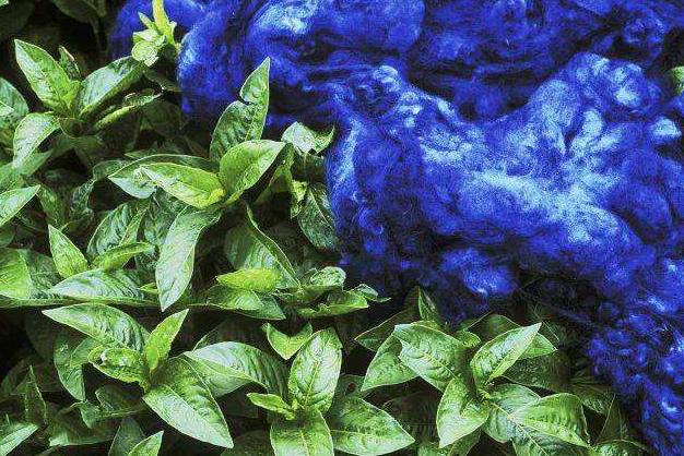 脱落时捞出,再加入适量石灰充分搅拌,直到浸液由乌绿色转变为蓝紫色时