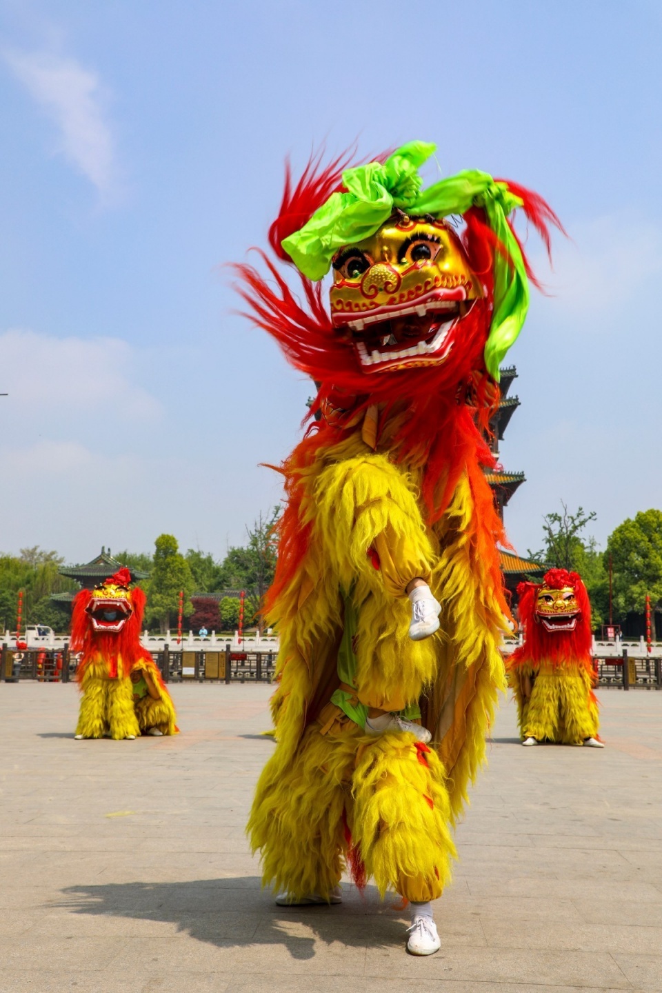 舞狮表演 高启民 摄