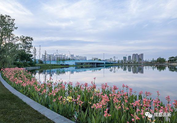 東臨紅星路南延線大源中央公園▼攝影 嚴沁珂 ▲地址:成都高新區天府