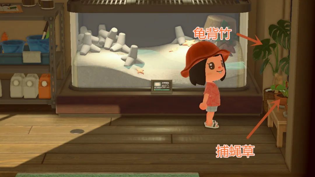 动森里的无名之辈 下 政务 澎湃新闻 The Paper
