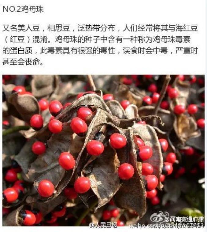 提醒4个男孩路边呕吐一人陷入昏迷就因为捡了这个吃