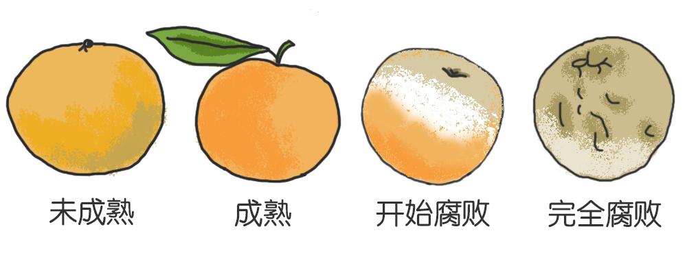 冰箱异味