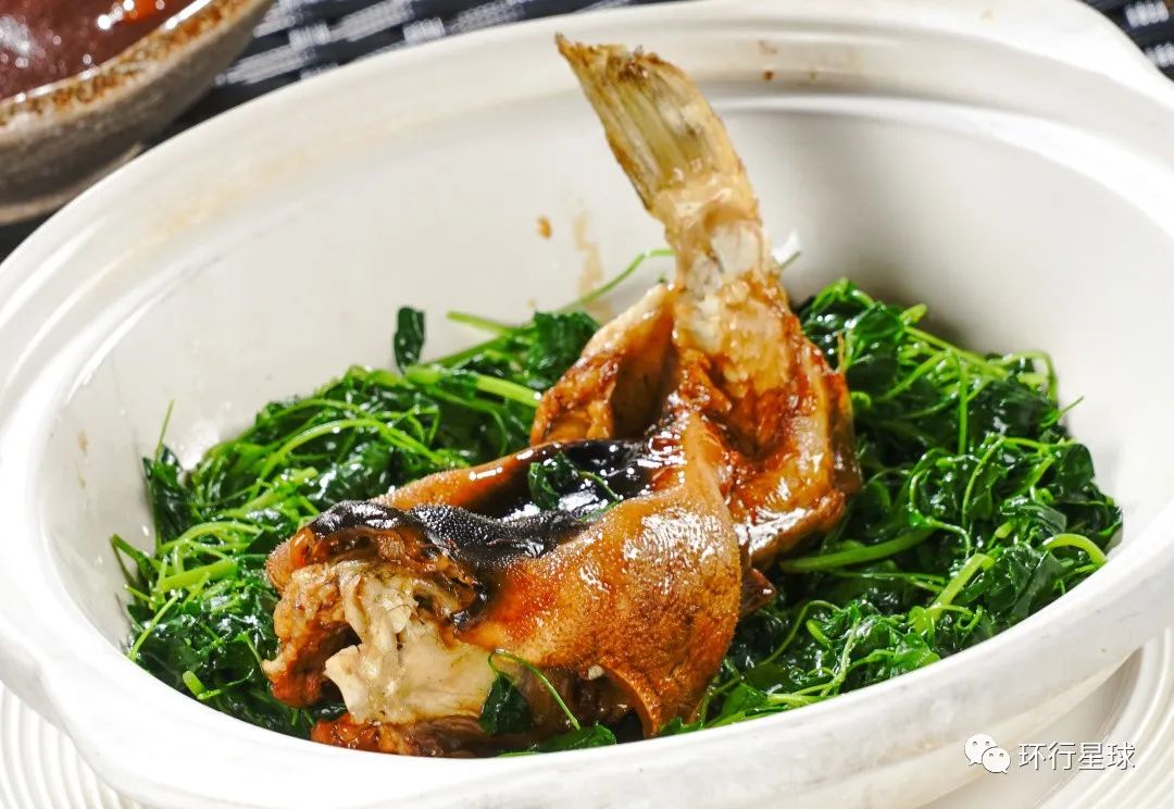 如何安全地吃掉一只河豚