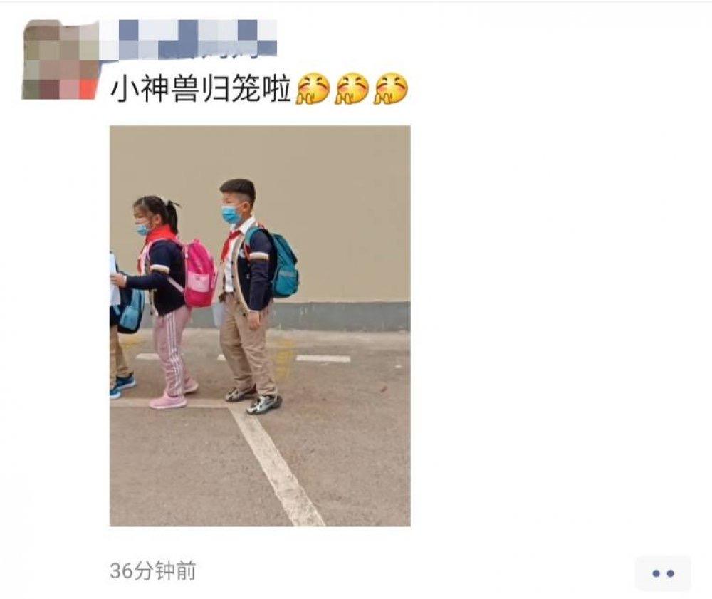 小神兽归笼蜀山一二三年级30000多名学生返校