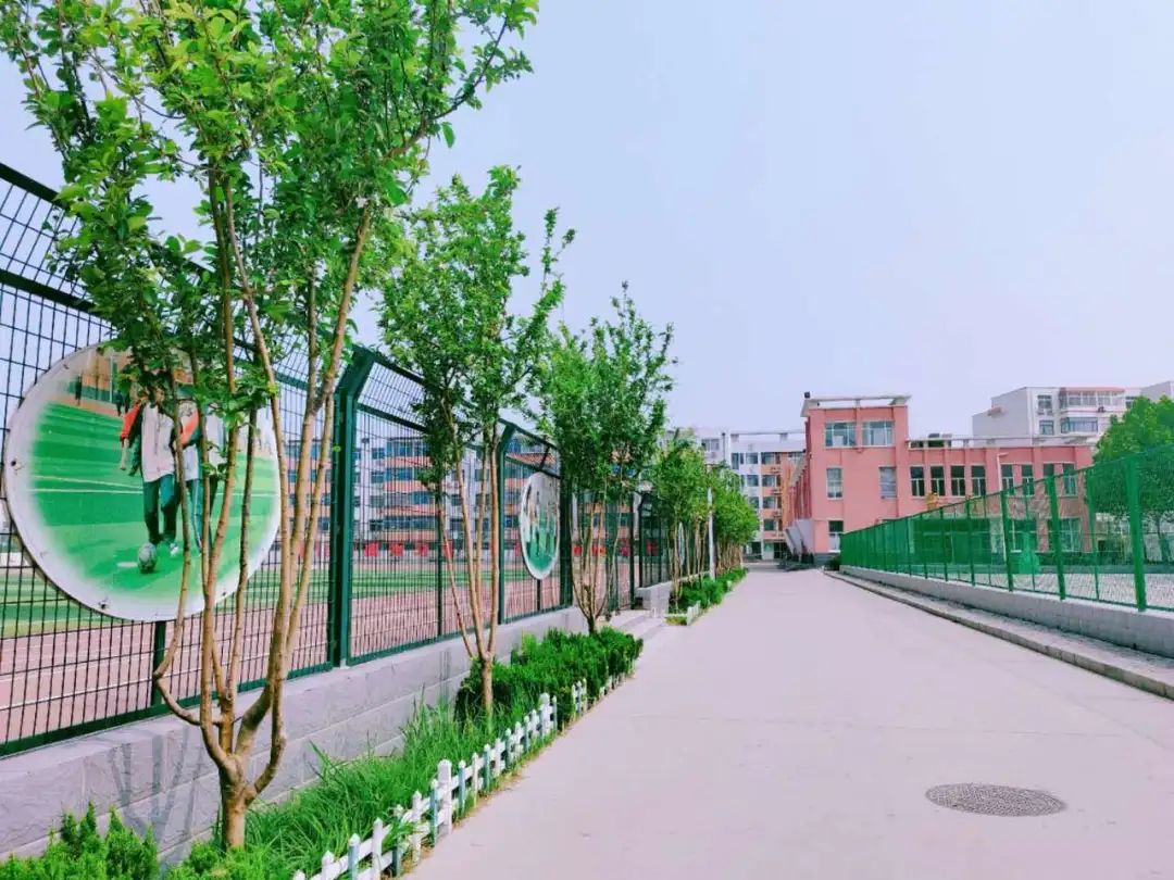 沧州市第十一中学图片图片