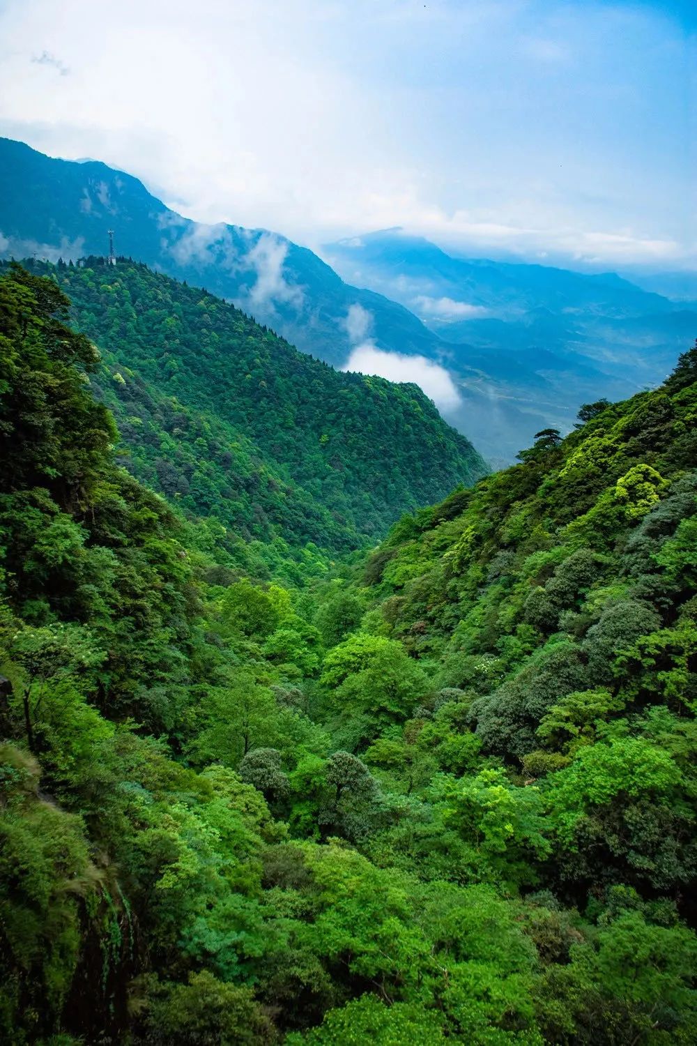 最美绿景图片图片