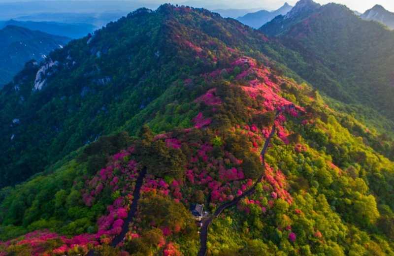 2020年五一湖北省旅_湖北省旅游学校2020年招生简章