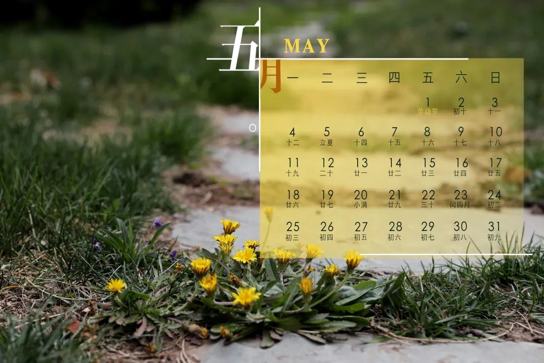 五月壁纸斗指东南维为立夏