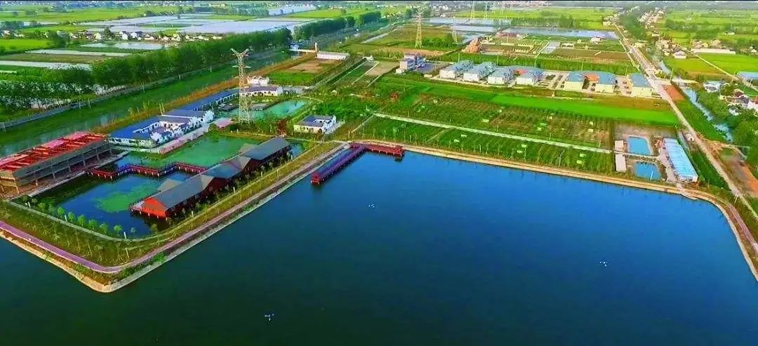 与魅力走进番茄科技园和莉莉生态蘑菇园将前往盐城市盐都区尚庄镇明天