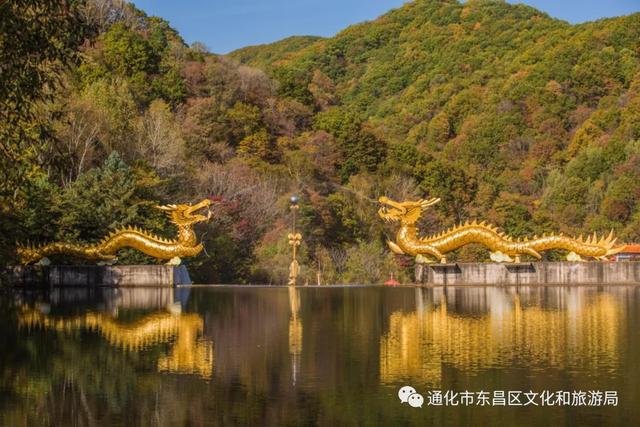 走啊一起去通化白雞峰國家森林公園踏青品美食