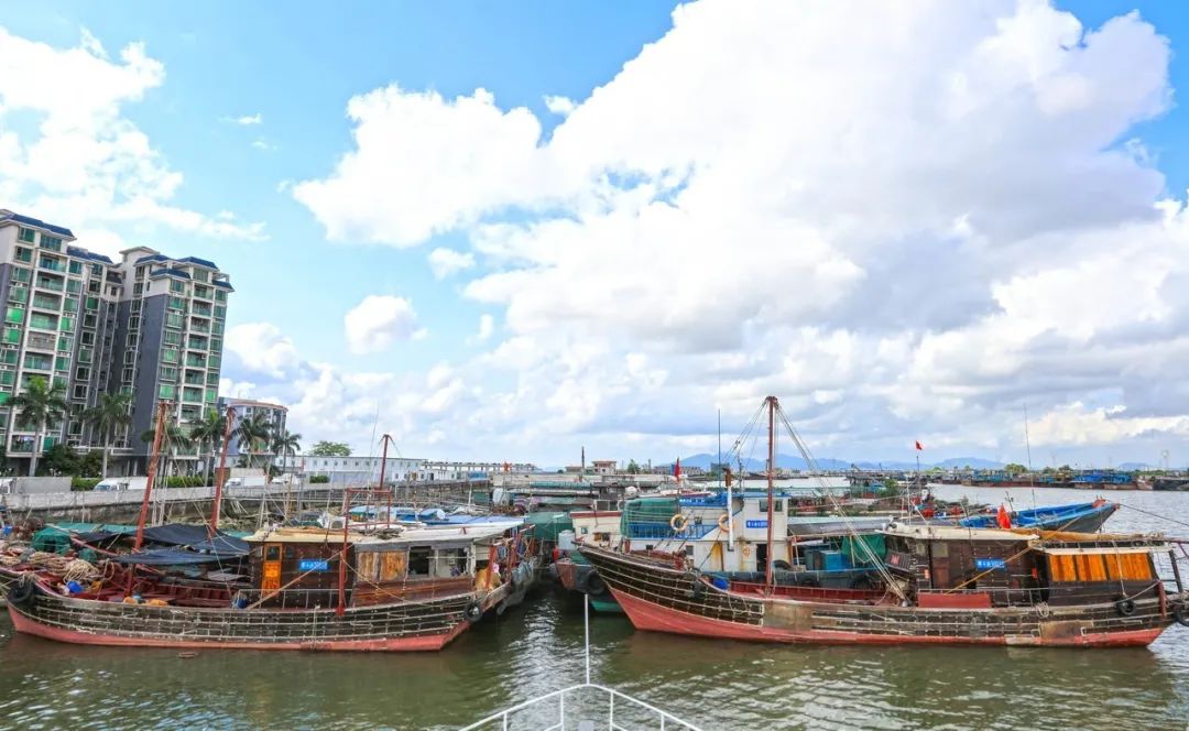 伏季休渔珠海斗门138艘渔船全部归港这些行为将被严惩