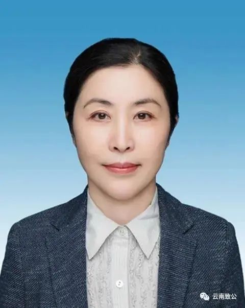 杨洋当选致公党云南省第七届委员会主任委员_澎湃号·媒体_澎湃新闻