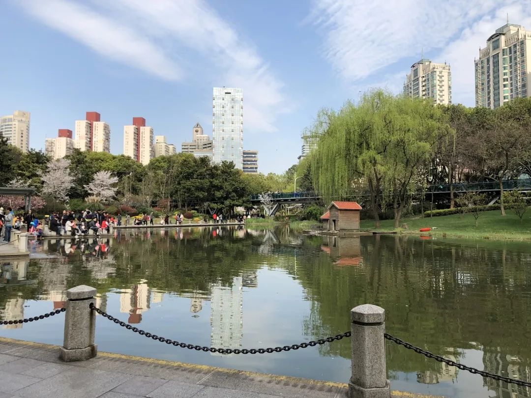 摄影作品(刘茜瑗)14▲光启公园(徐钰雯)13▲最美徐家汇(陆逸璇)12▲节