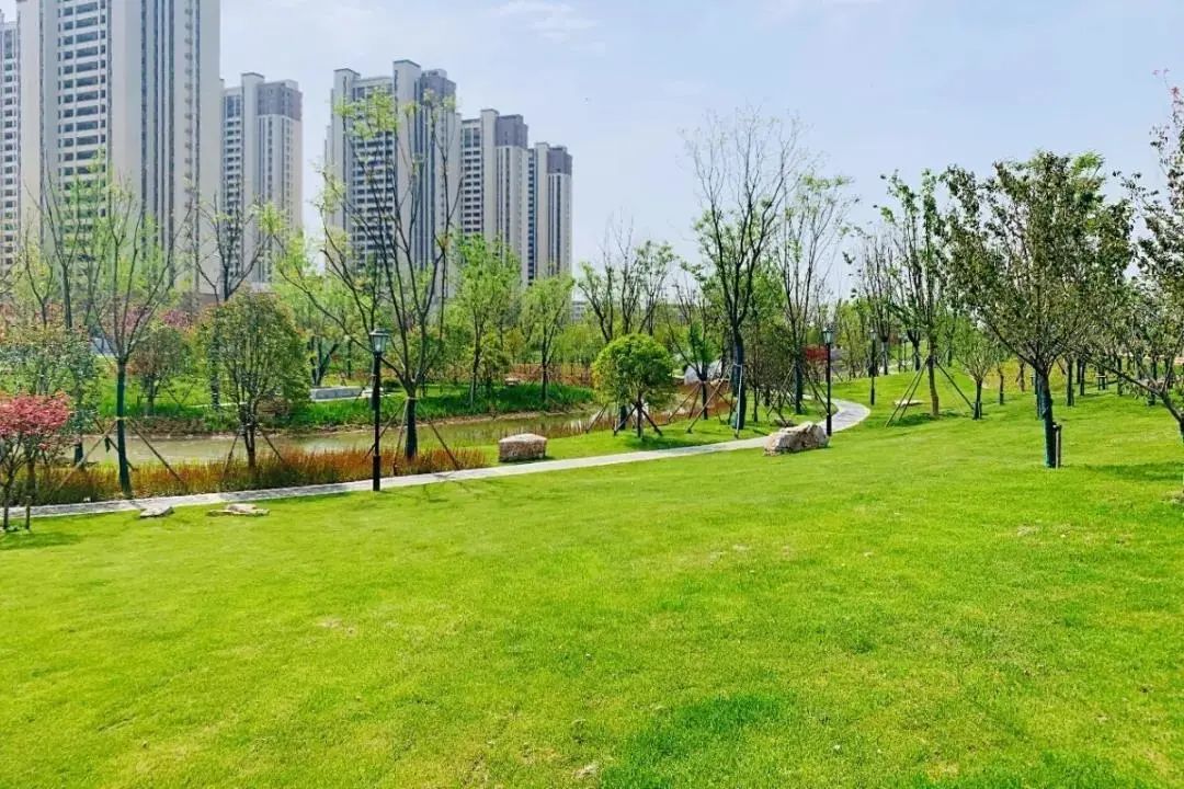 滁州一街头游园正式对外开放!具体位置在.