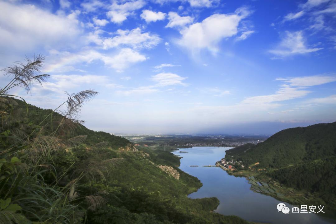 安義旅遊產業招商項目來啦趕緊來看有哪些